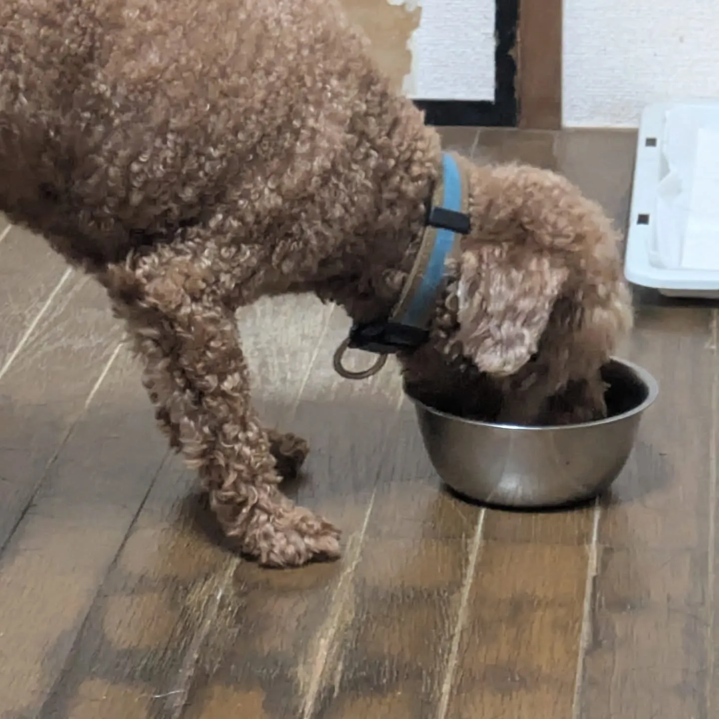 おはようございます!