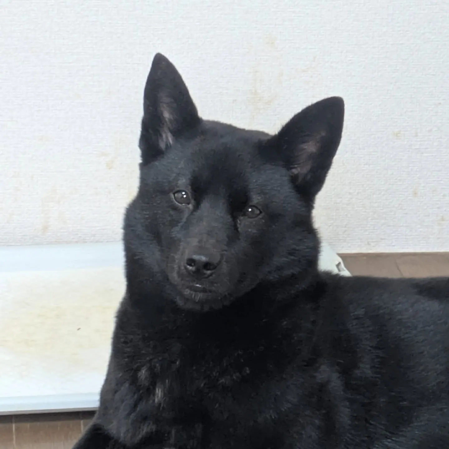 おはようございます！