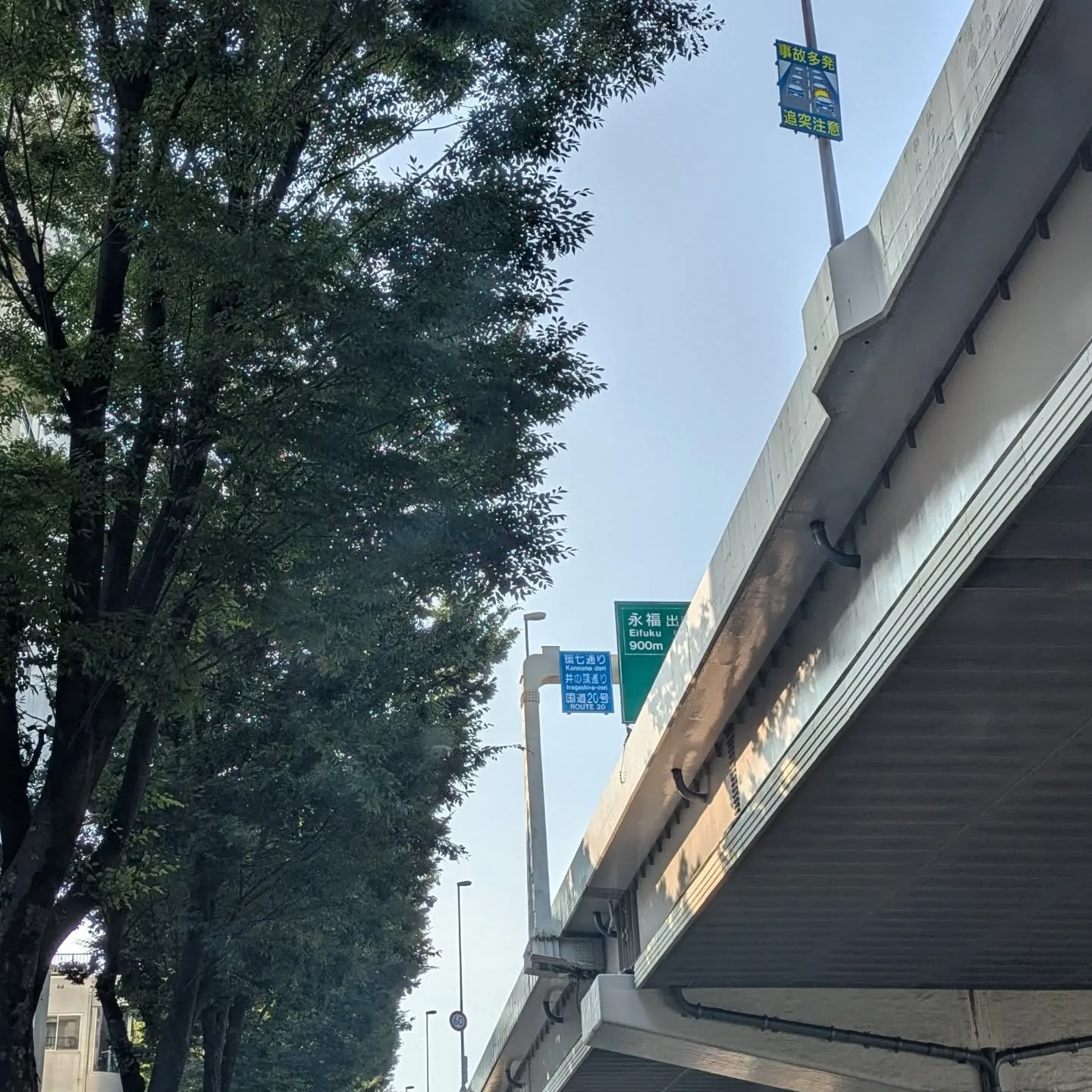 おはようございます！