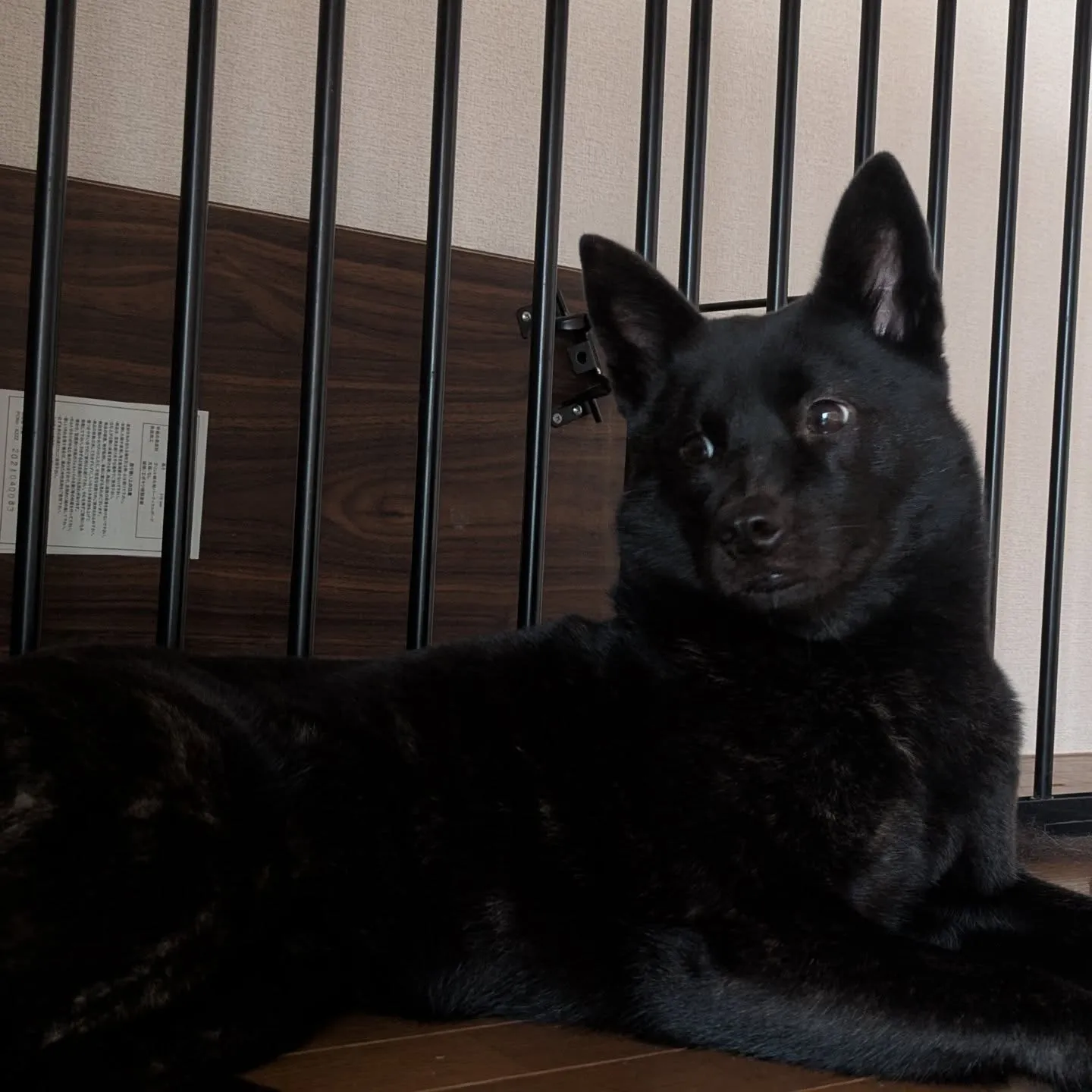 おはようございます！