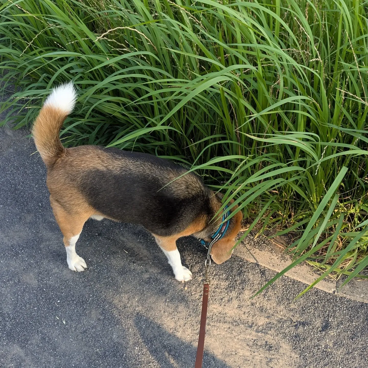 2発目のお世話は府中市！