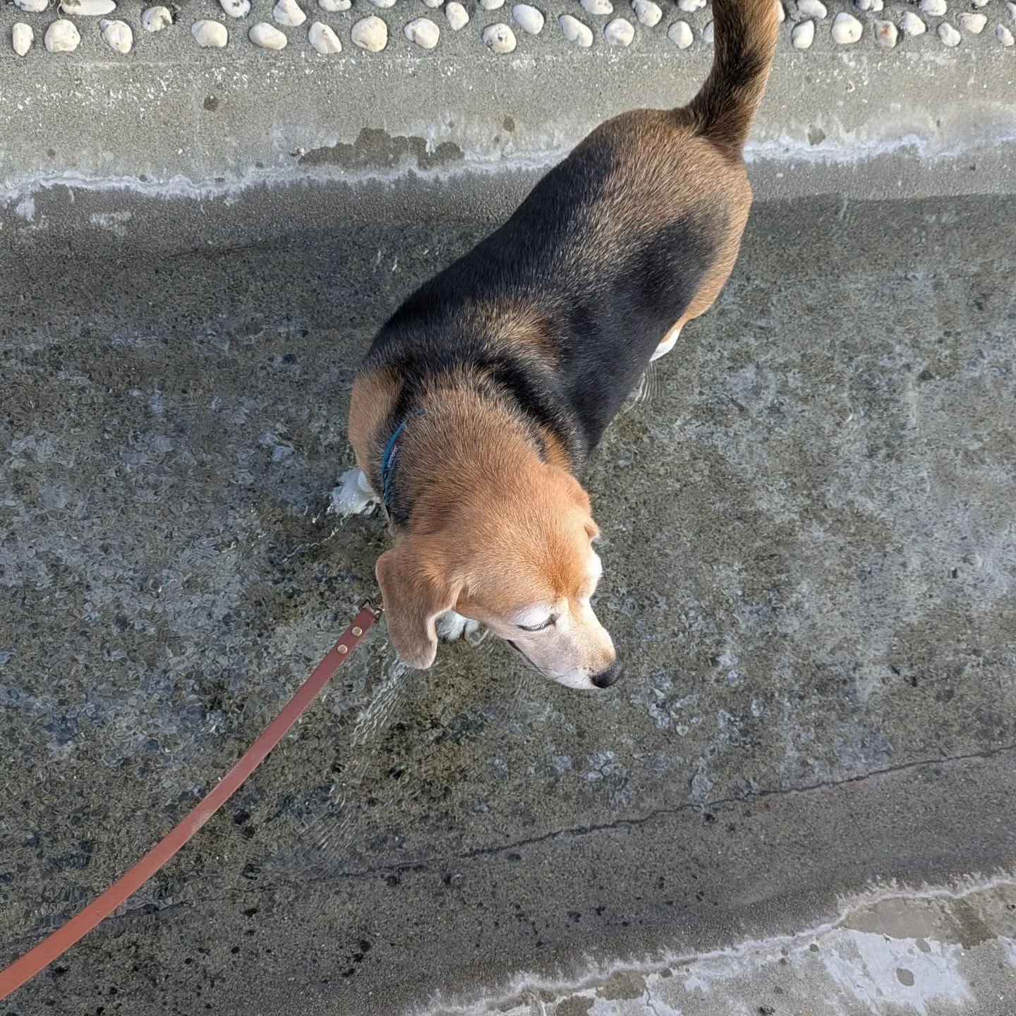 2発目のお世話は府中市！