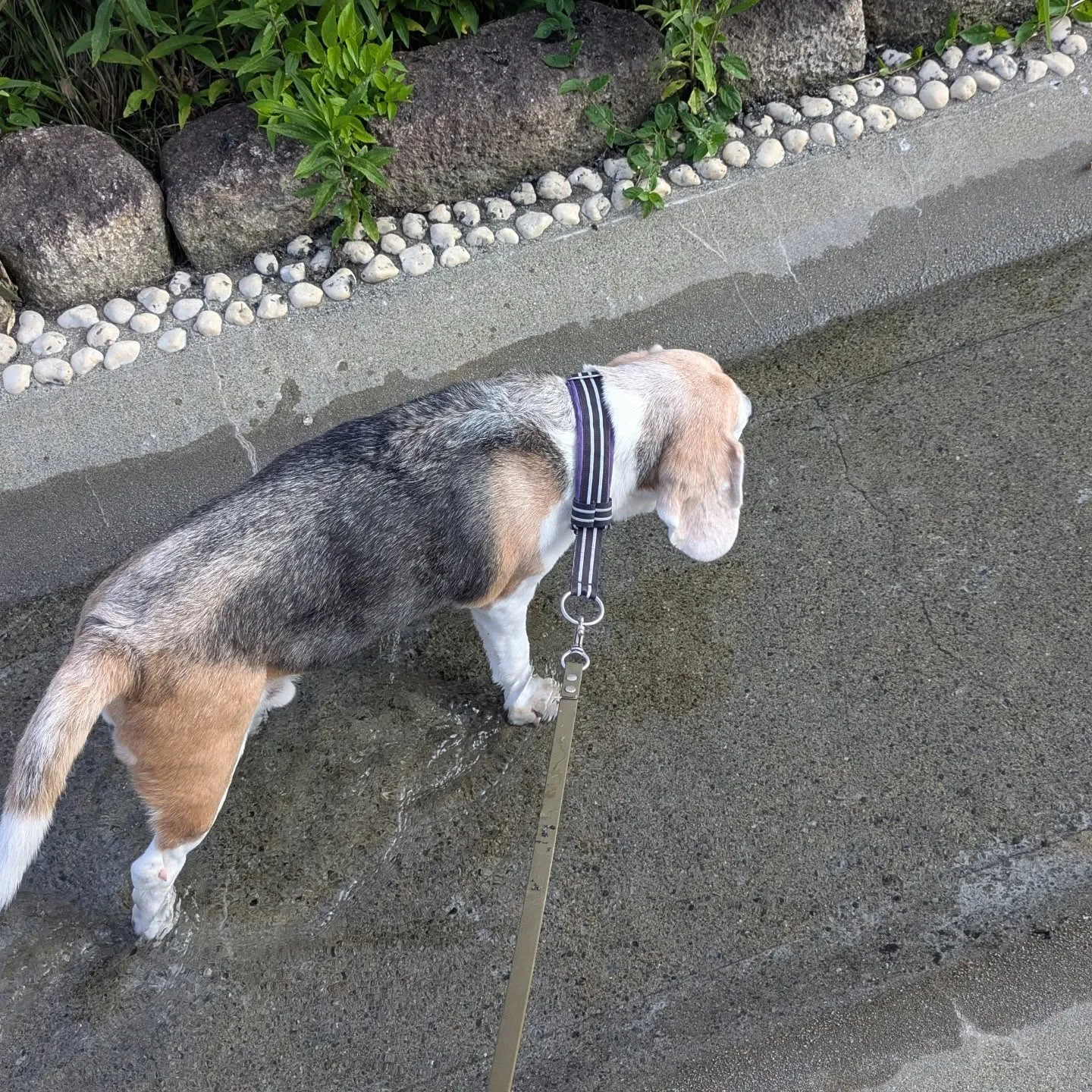 2発目のお世話は府中市！