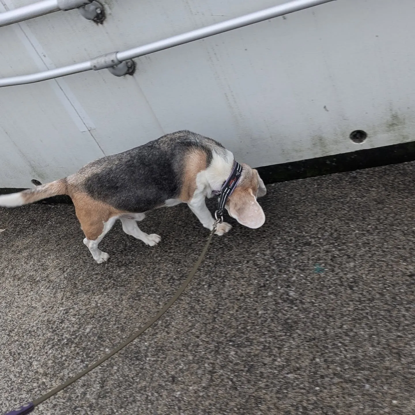 本日の二件目！