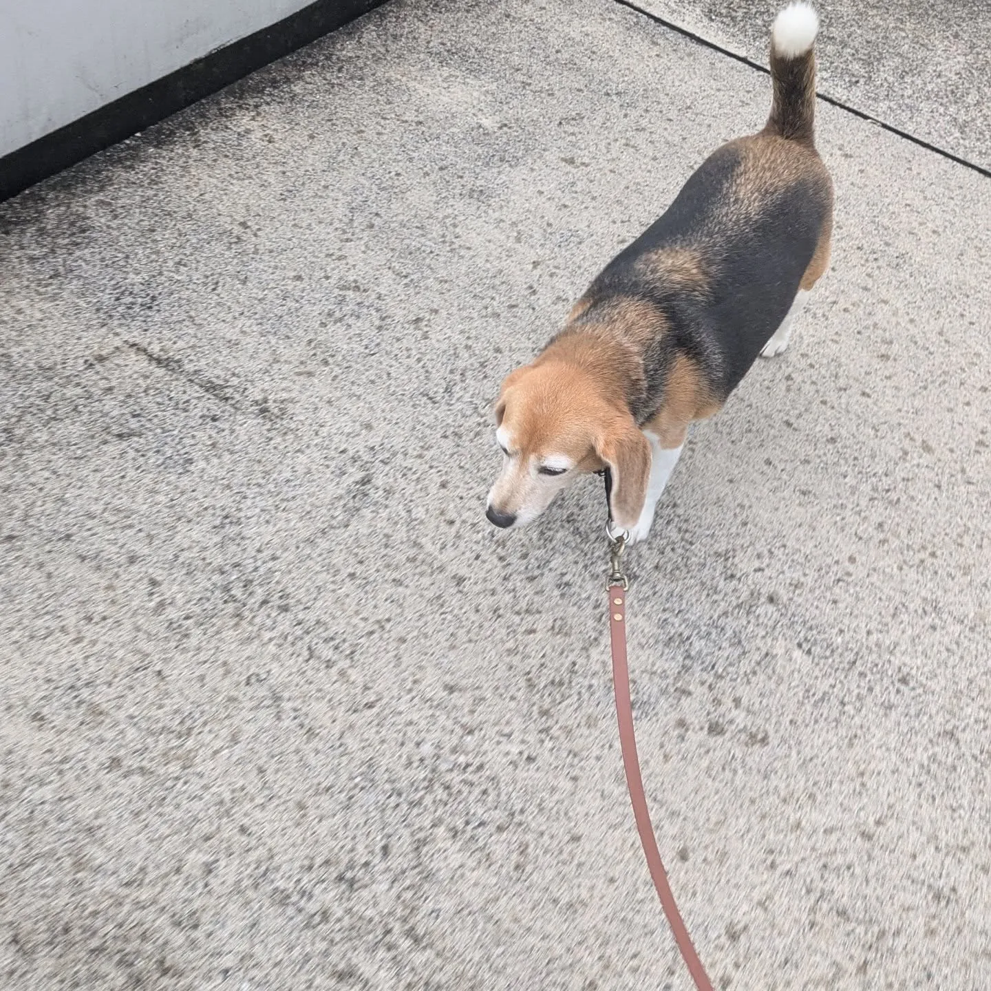 本日の二件目！