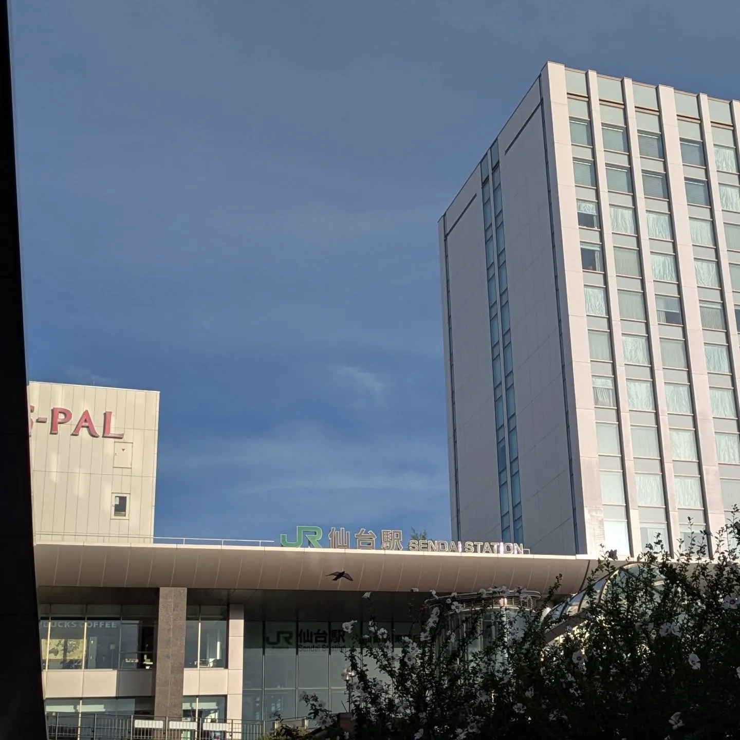 おはようございます！