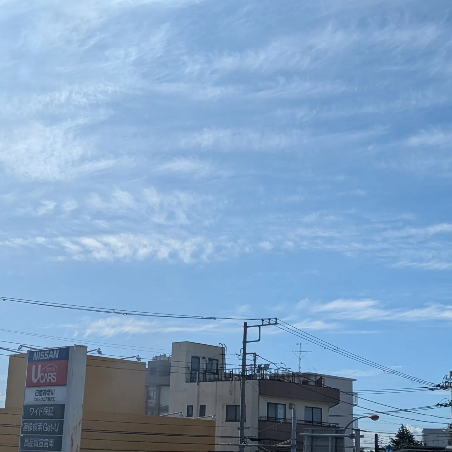 おはようございます。