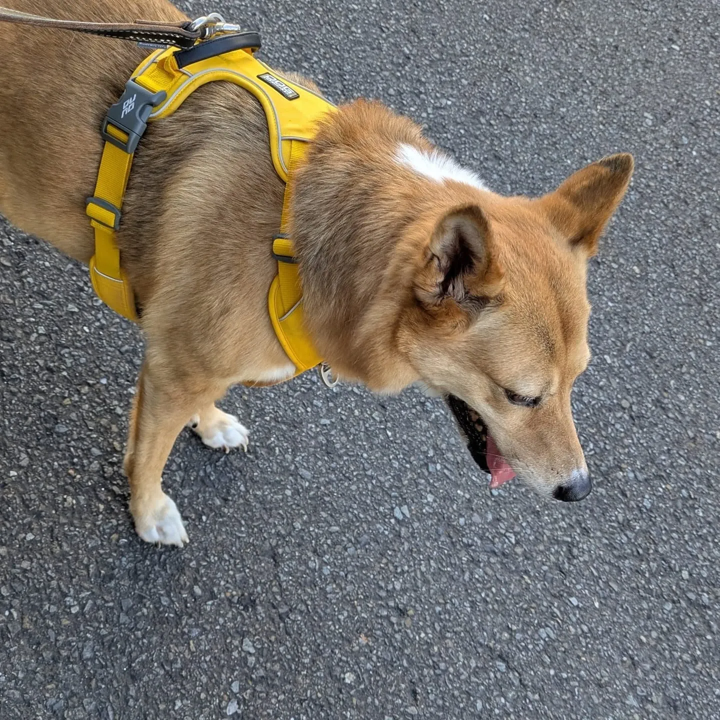 おはようございます！