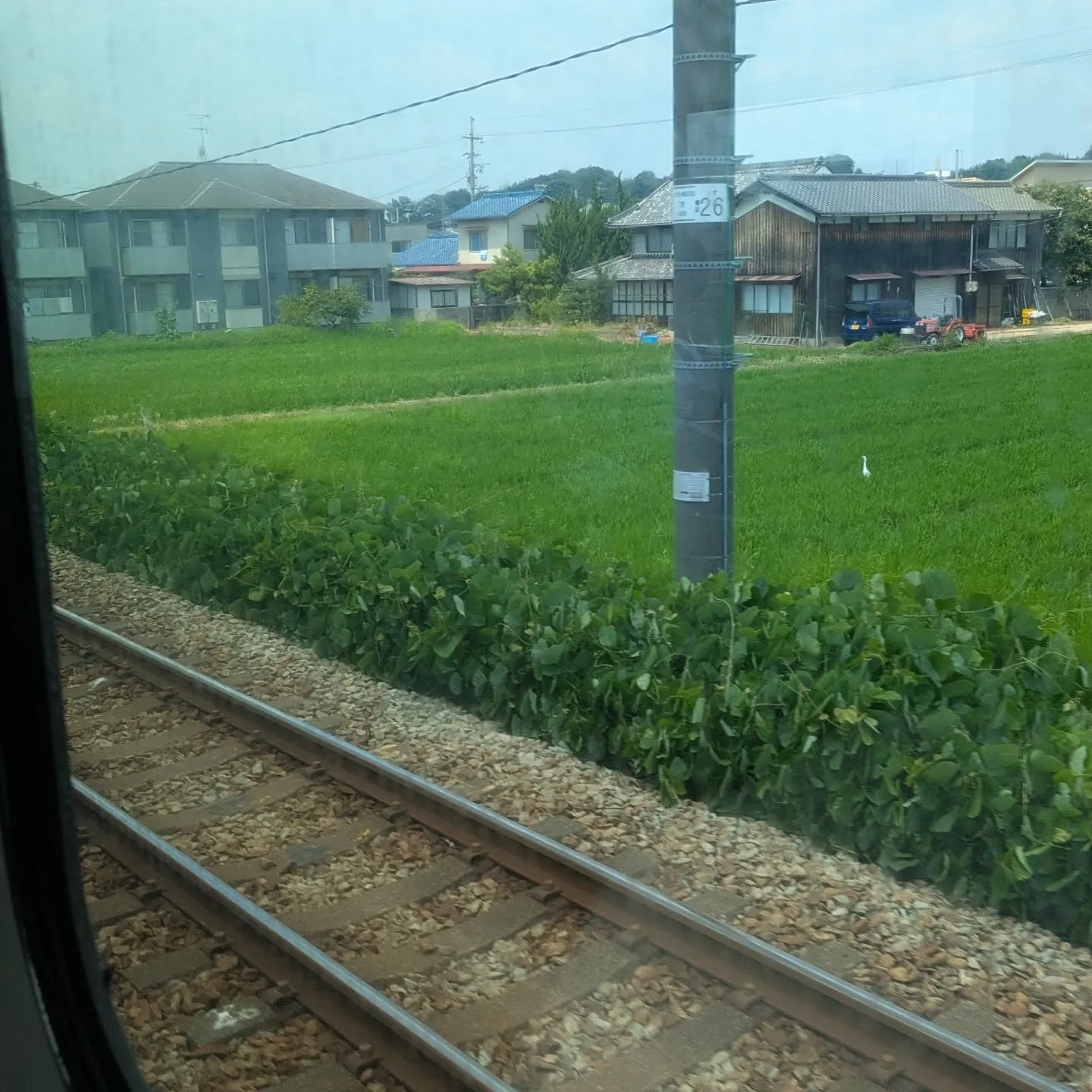 出張が香川県までなので岡山駅から瀬戸大橋を渡ります！