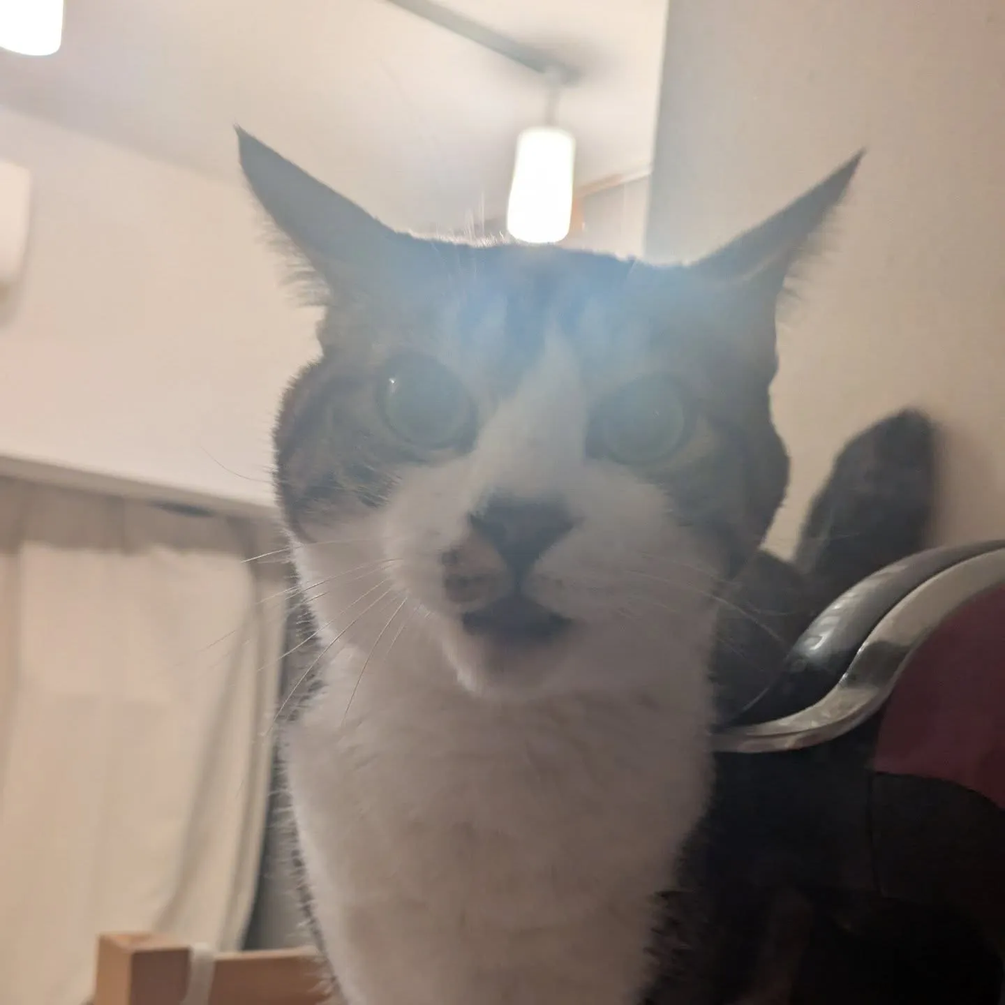 おはようございます！