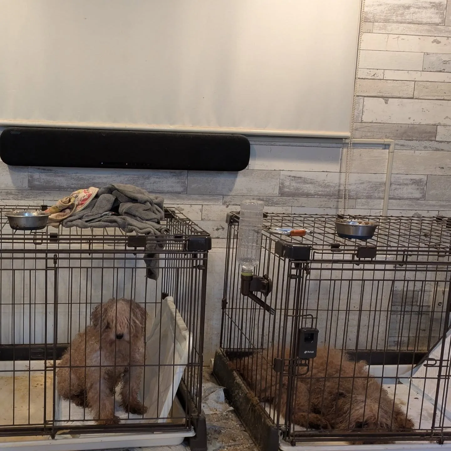 おはようございます！