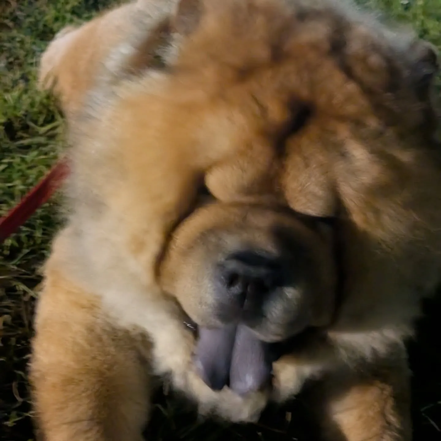 おはようございます！