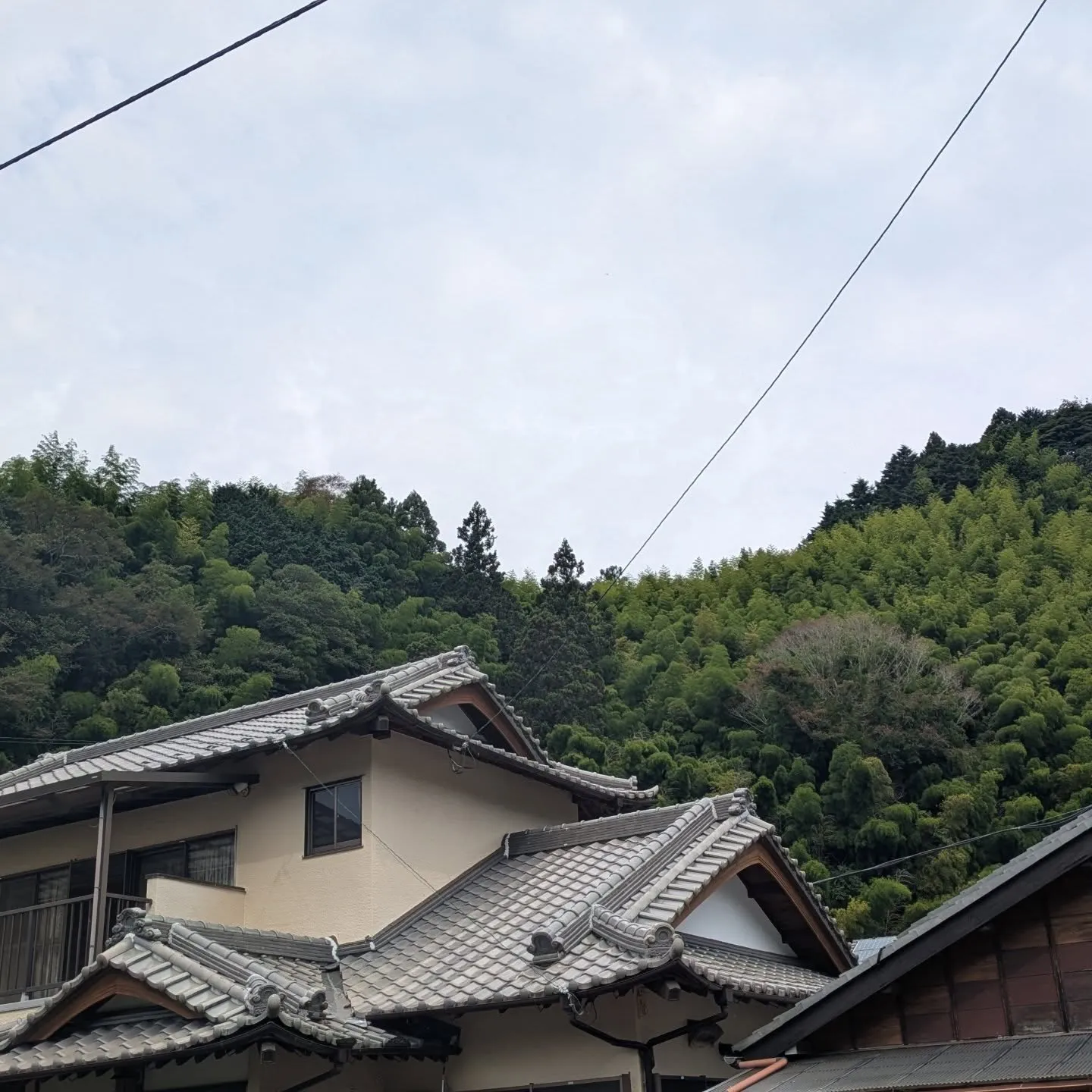 おはようございます！