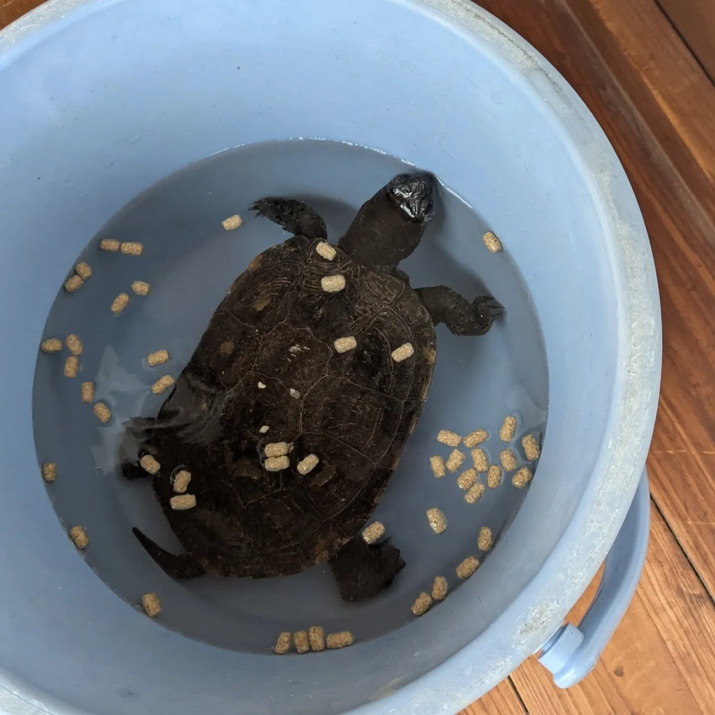 おはようございます!