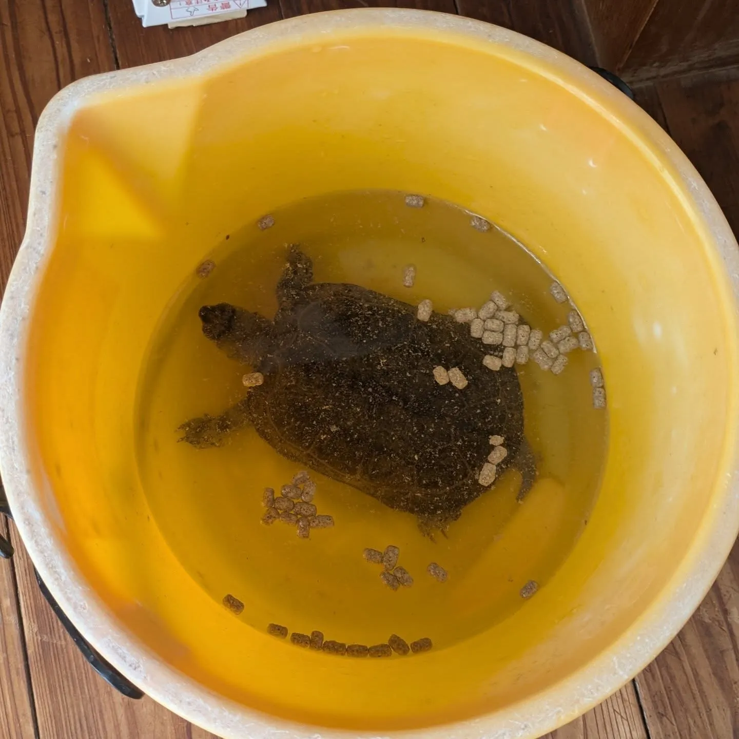 おはようございます!