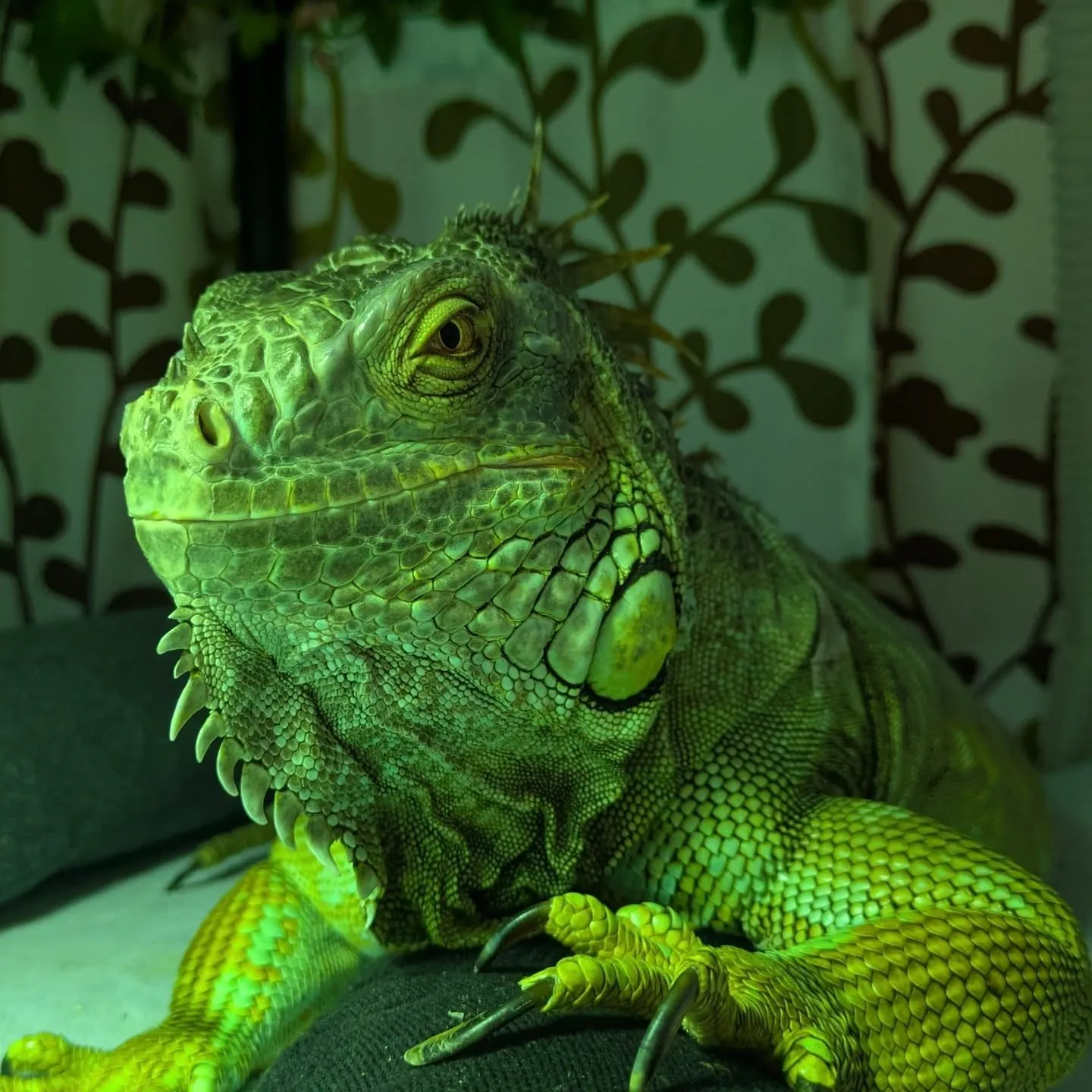 今日のお世話…(一部)