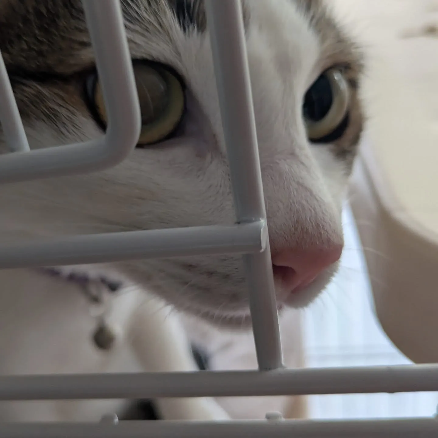 今日のお世話…(一部)