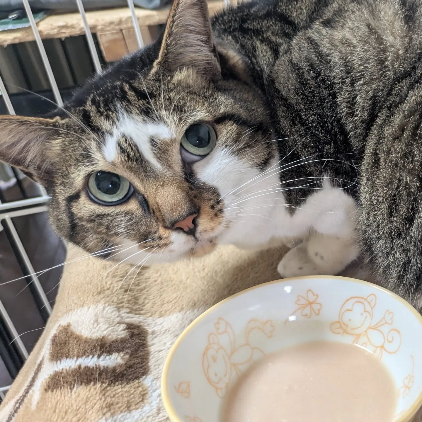 今日のお世話…(一部)