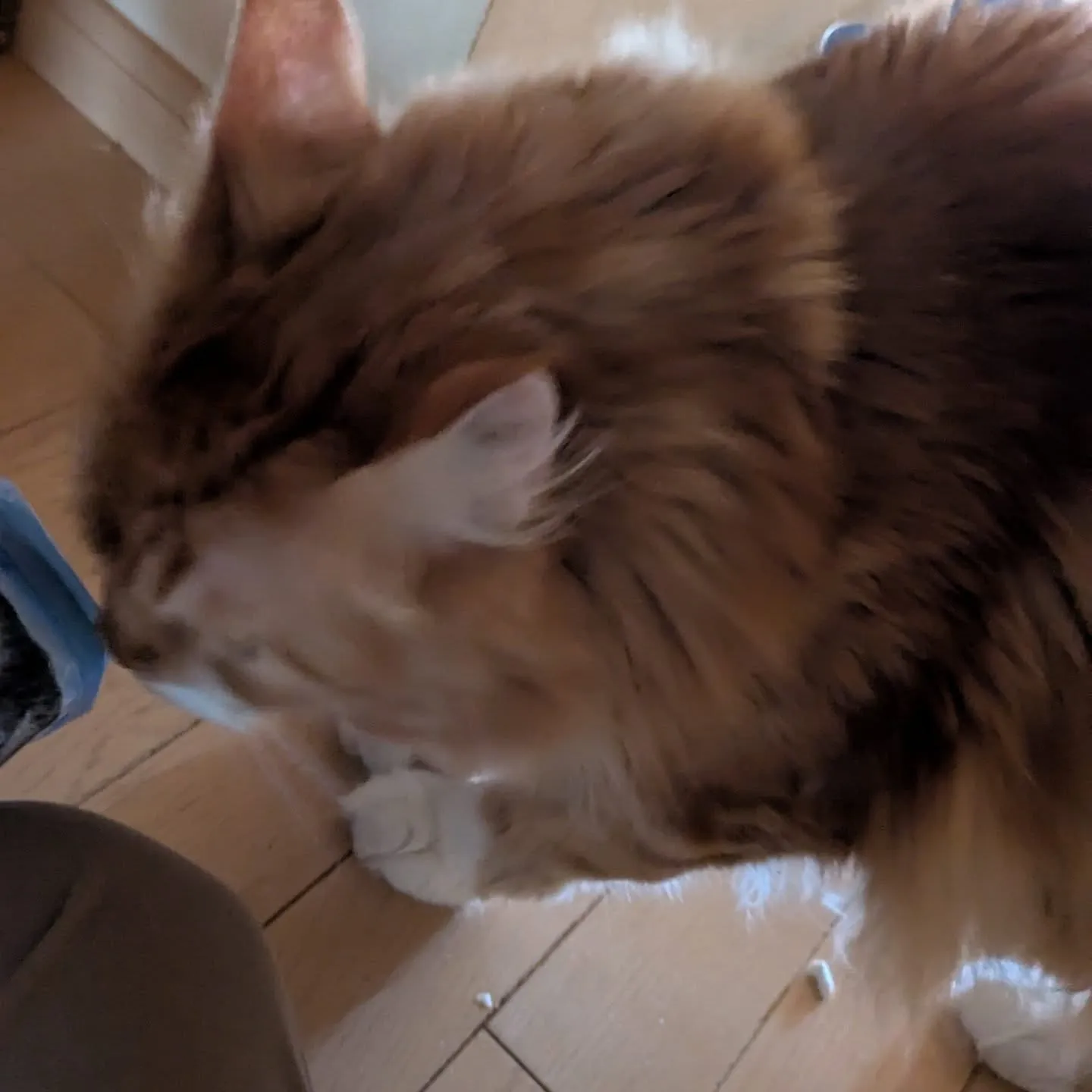 昨日今日とえげつない距離を移動しているという…