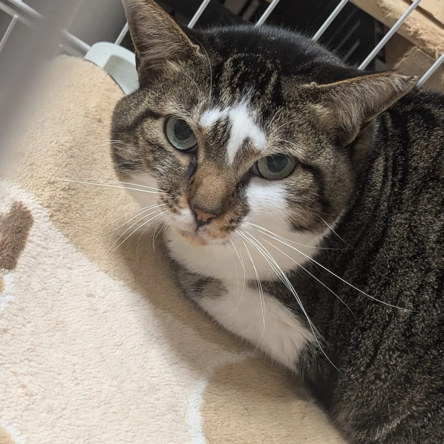 昨日今日とえげつない距離を移動しているという…