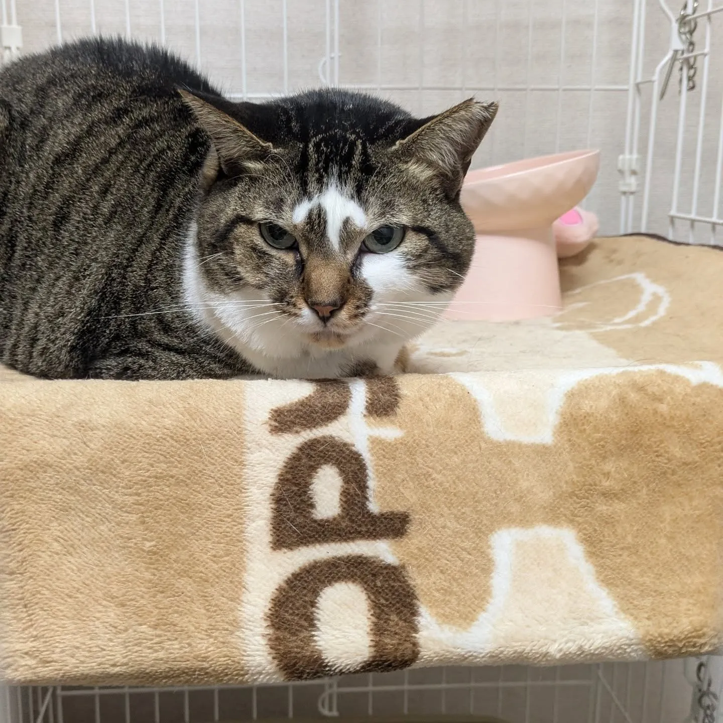 おはようございます！