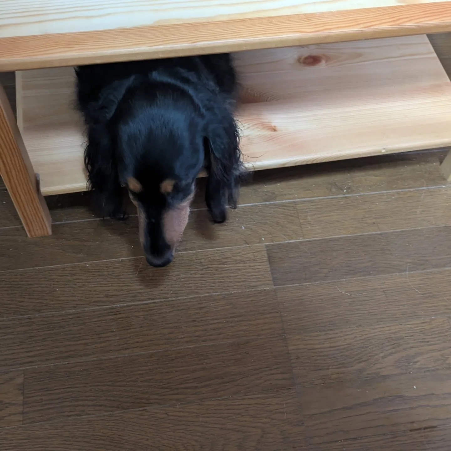 おはようございます！