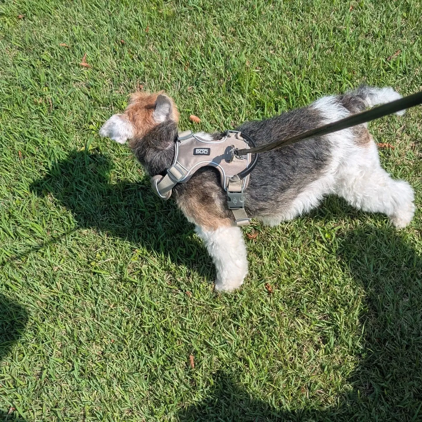 おはようございます！