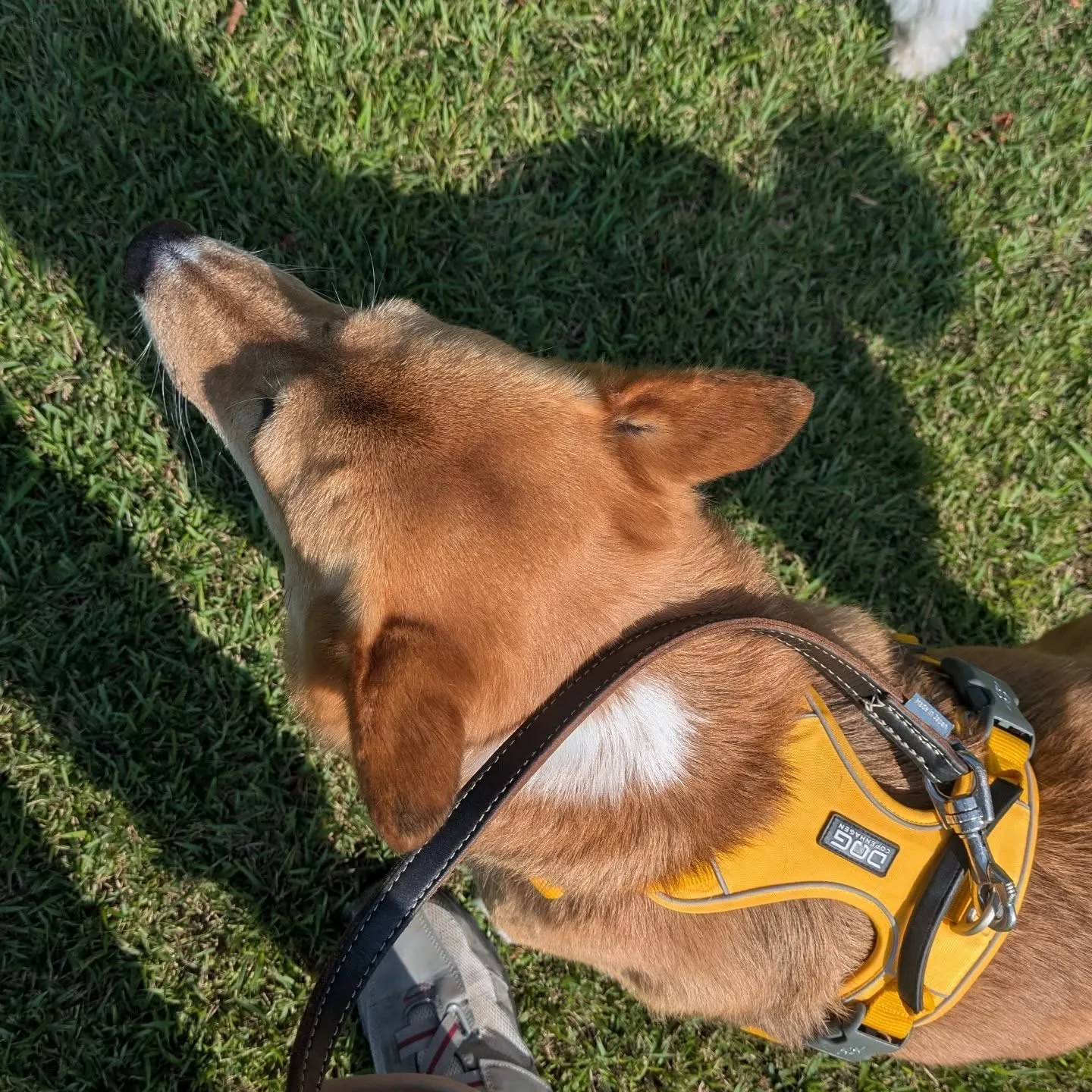 おはようございます！