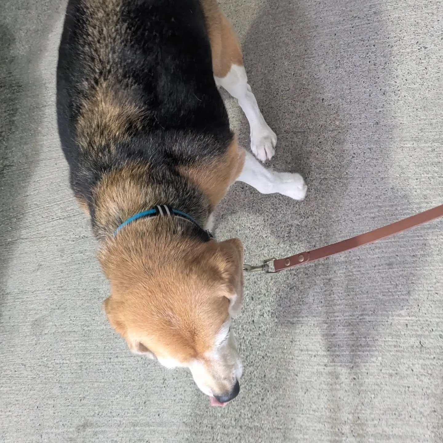 今日も一日おつかれっした。