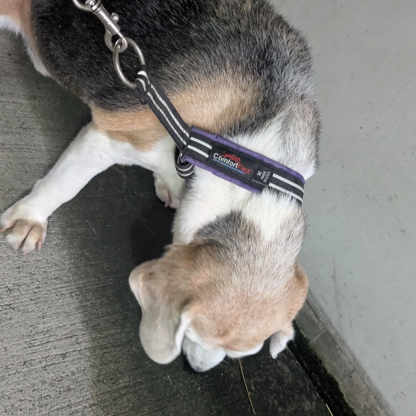 今日も一日おつかれっした。