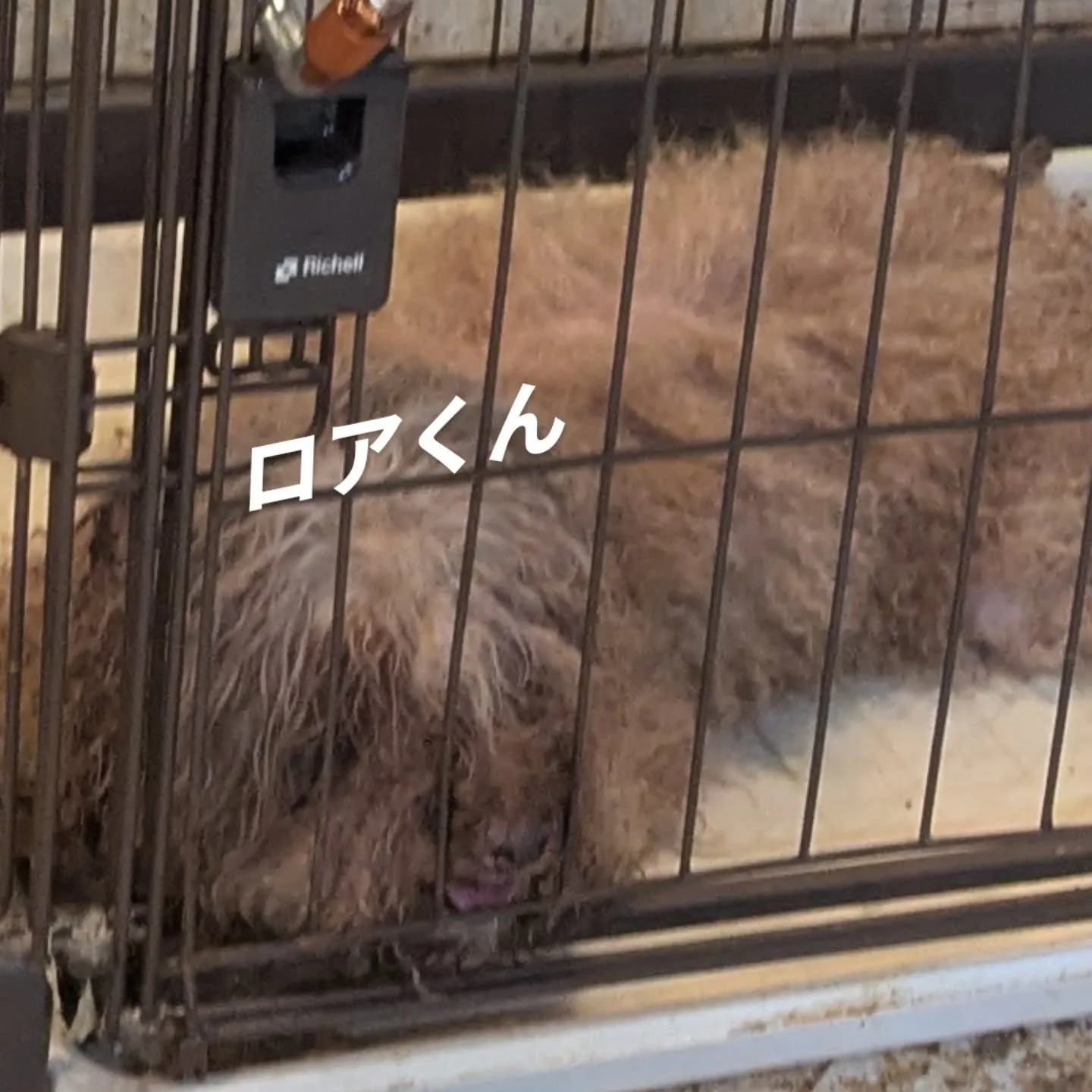 今日も一日おつかれっした。