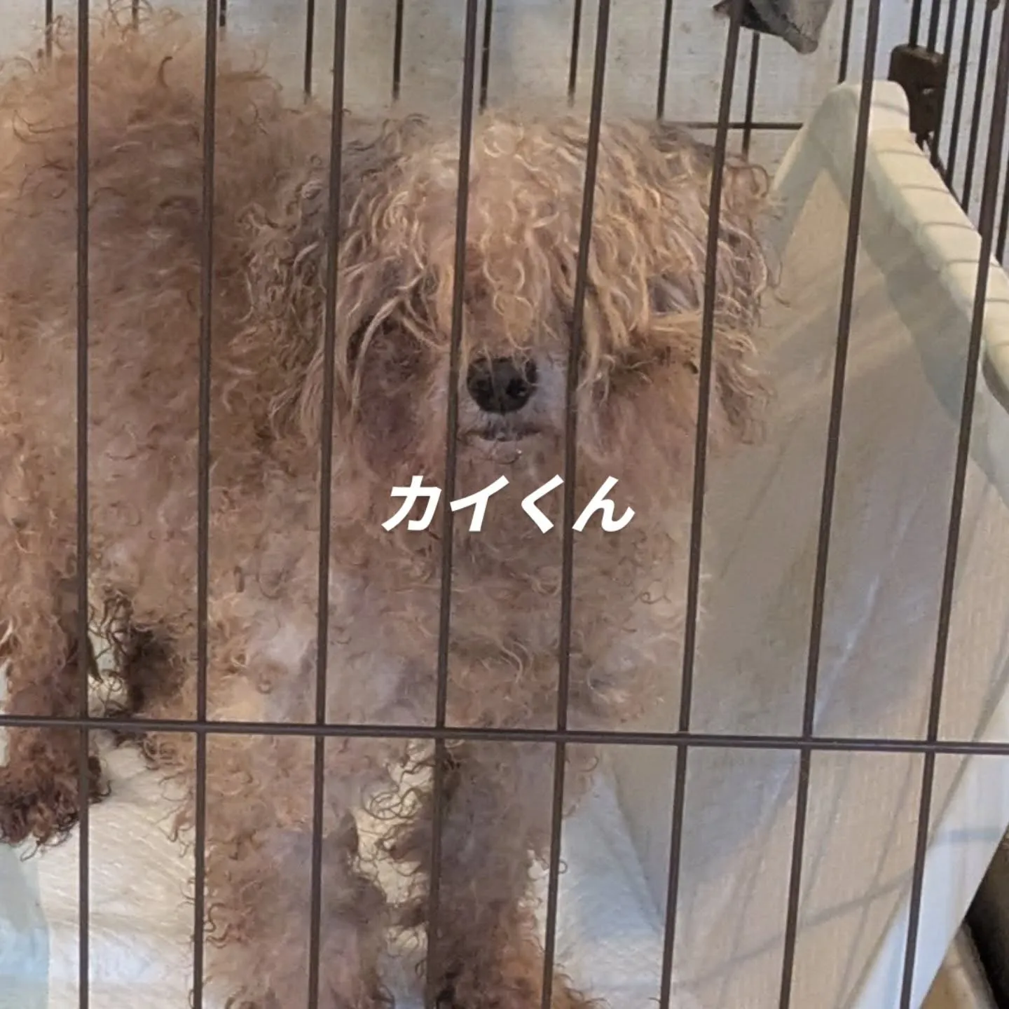 今日も一日おつかれっした。