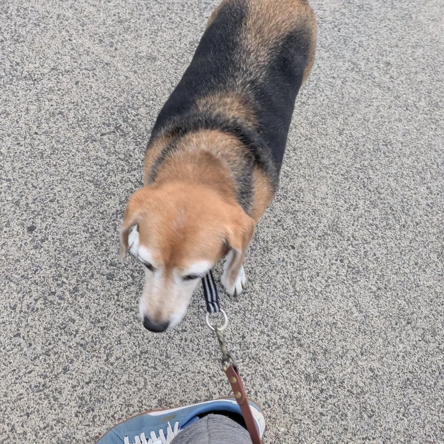 こんばんはー。