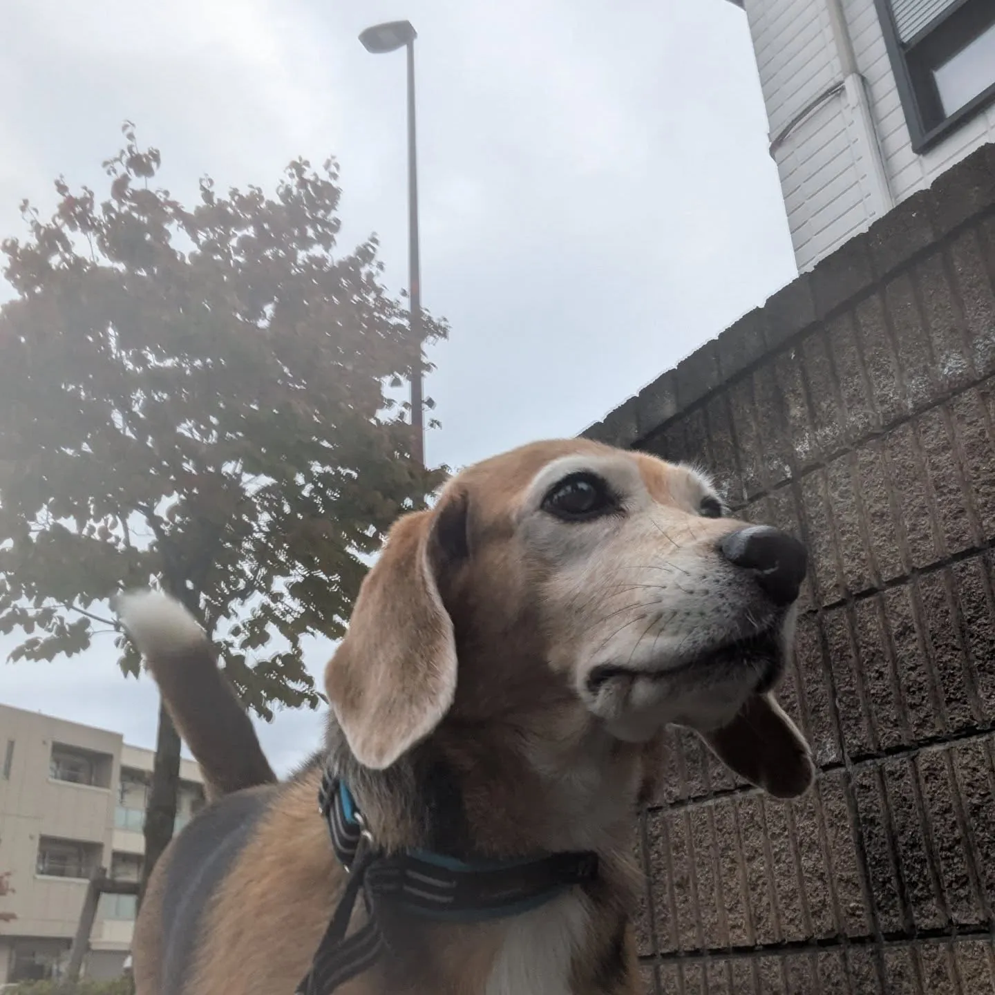 おはようございます！