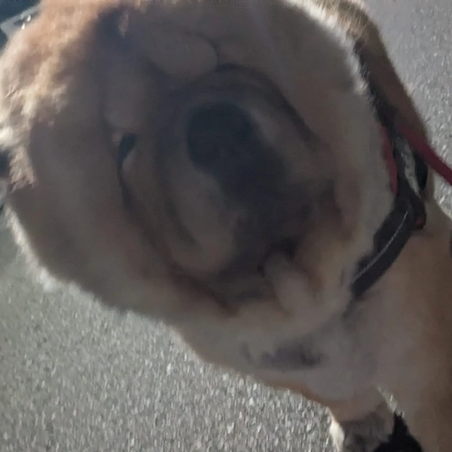 おはようございます！