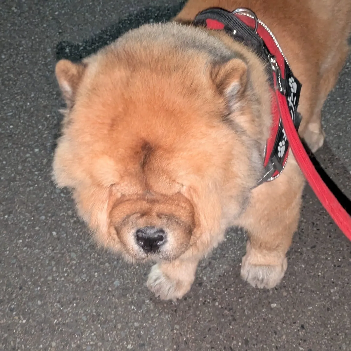 おはようございます！