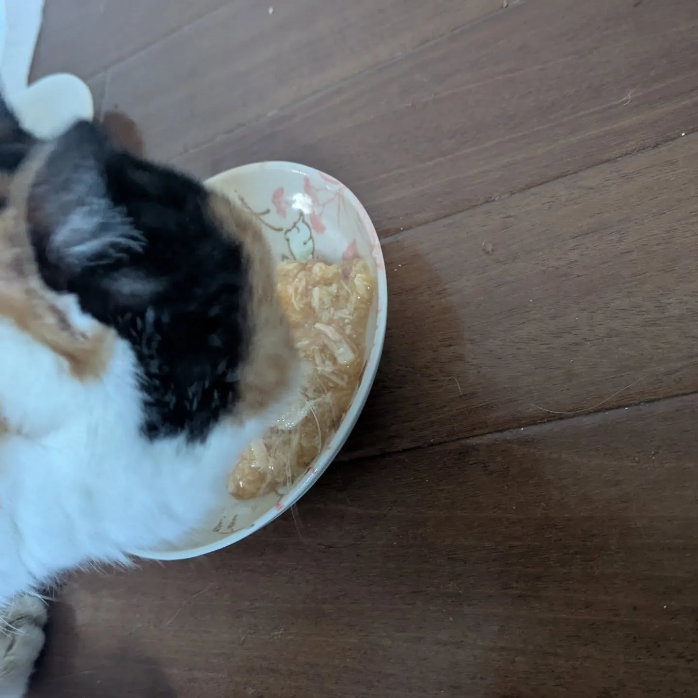 おはようございます！