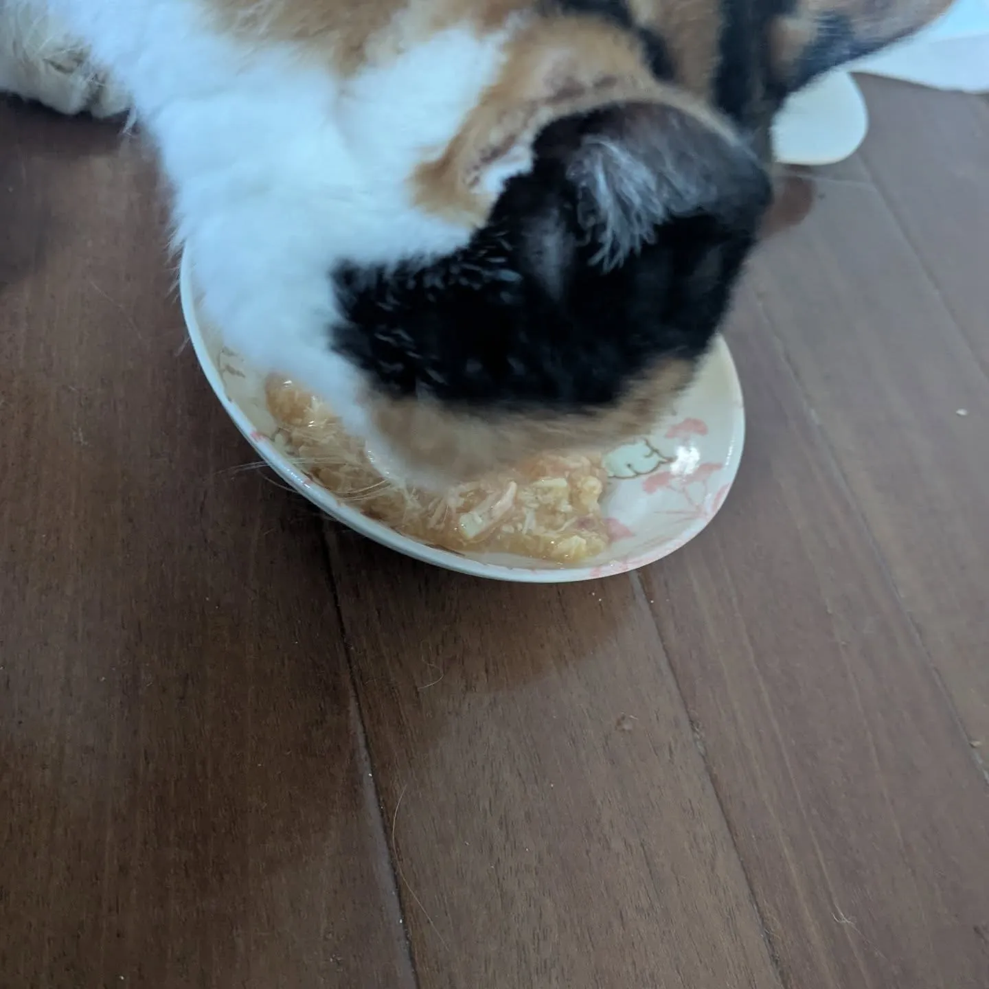 おはようございます！