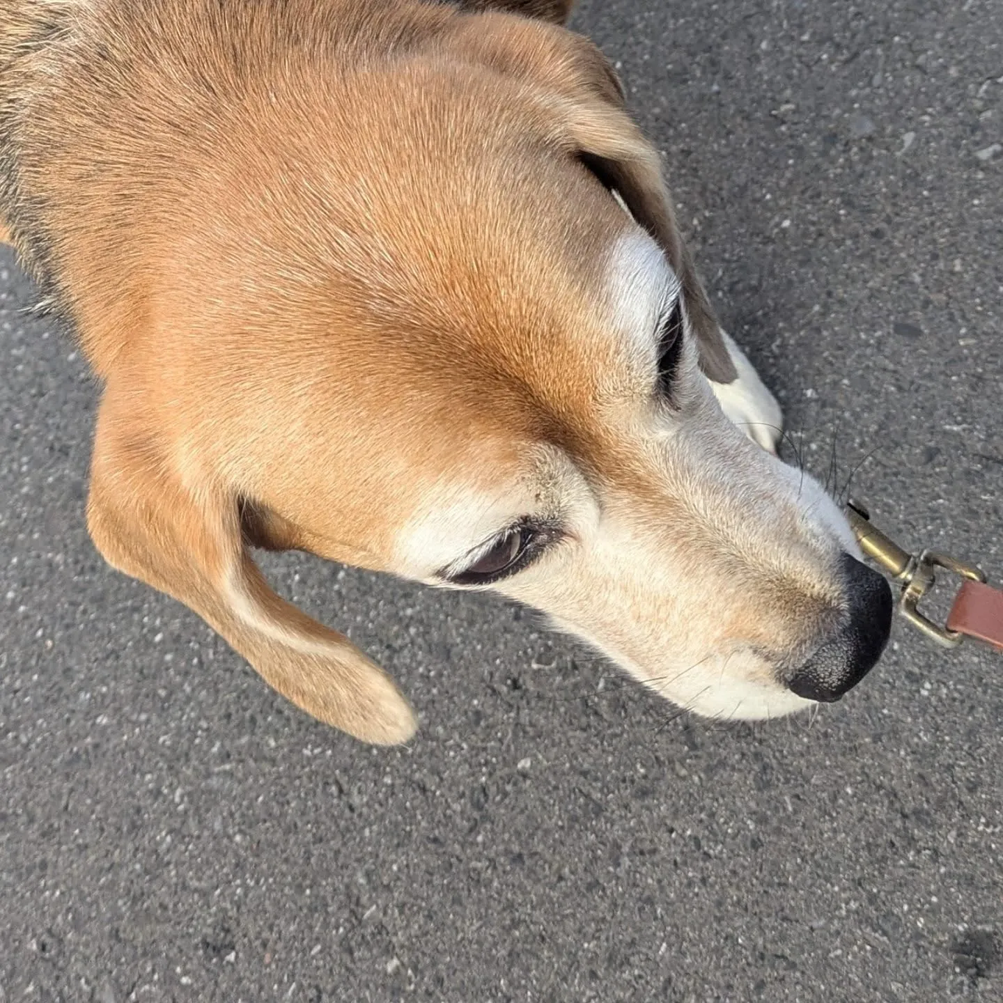 こんばんはー。