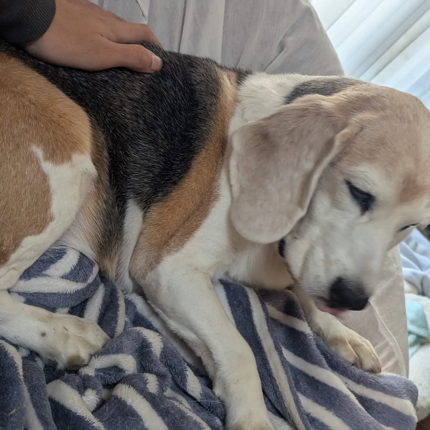 こんばんはー。