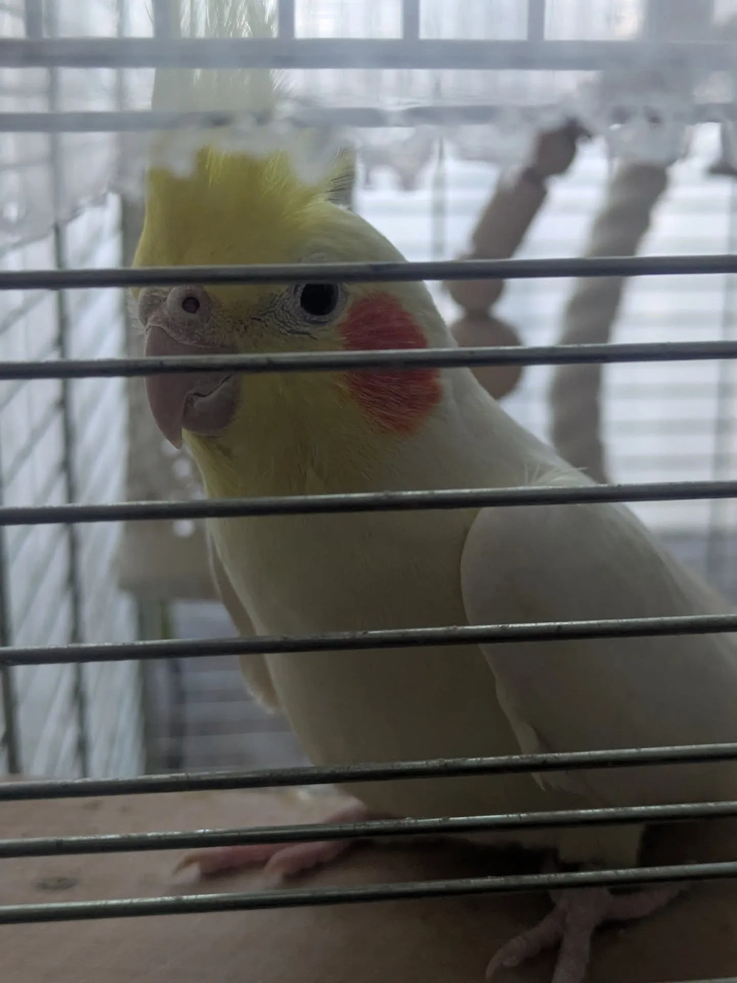 おはようございます！