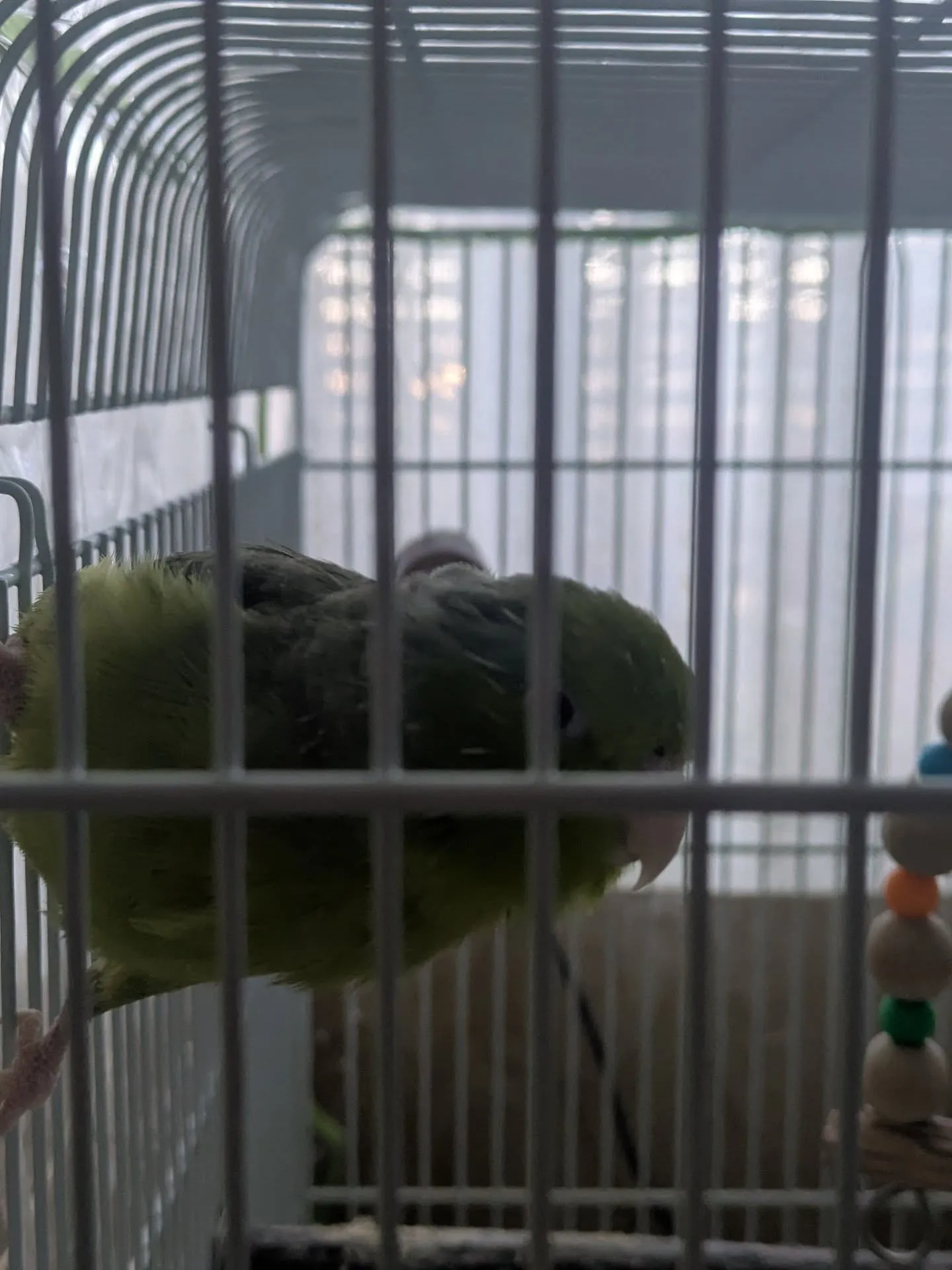 おはようございます！