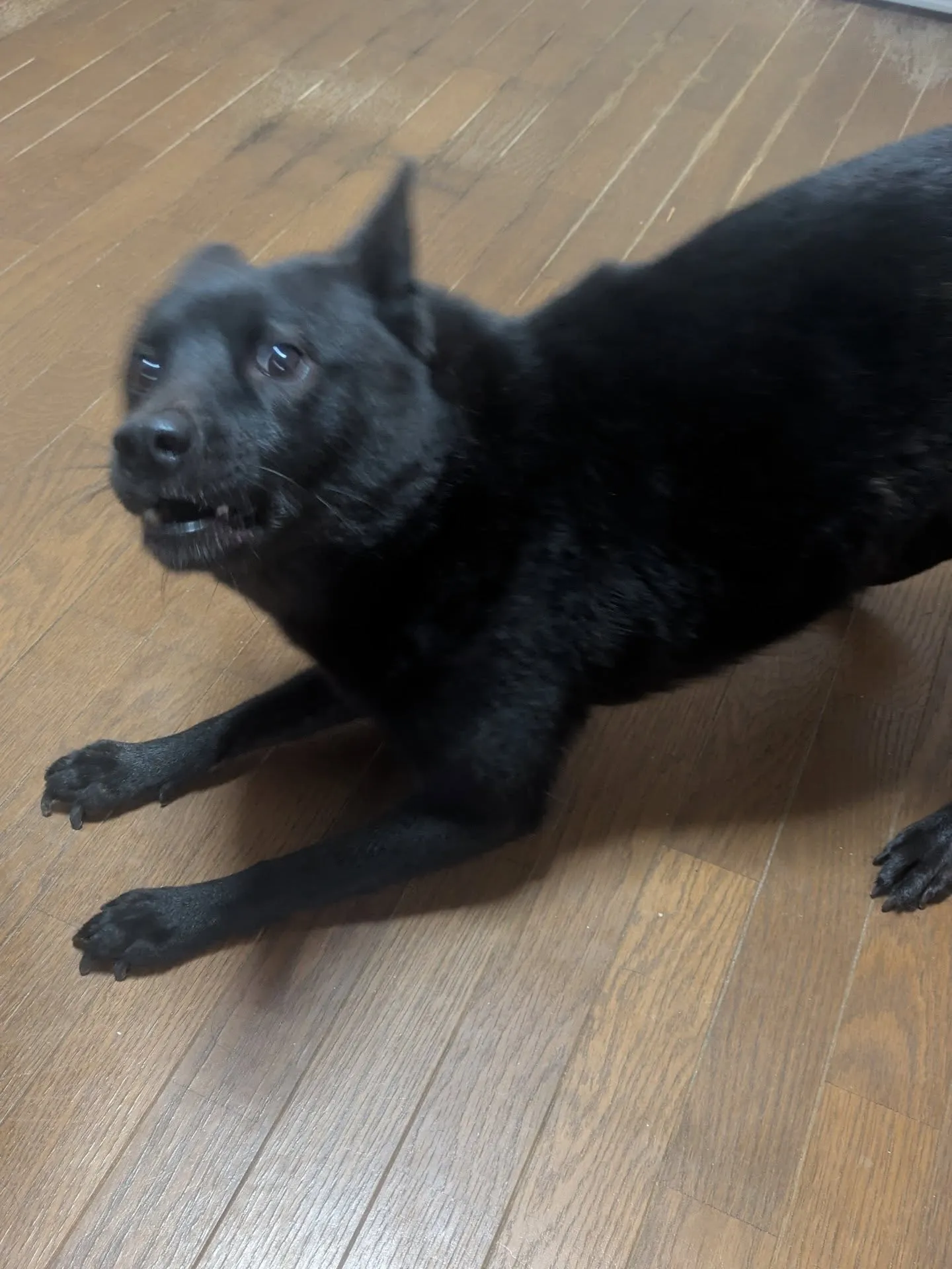 おはようございます！