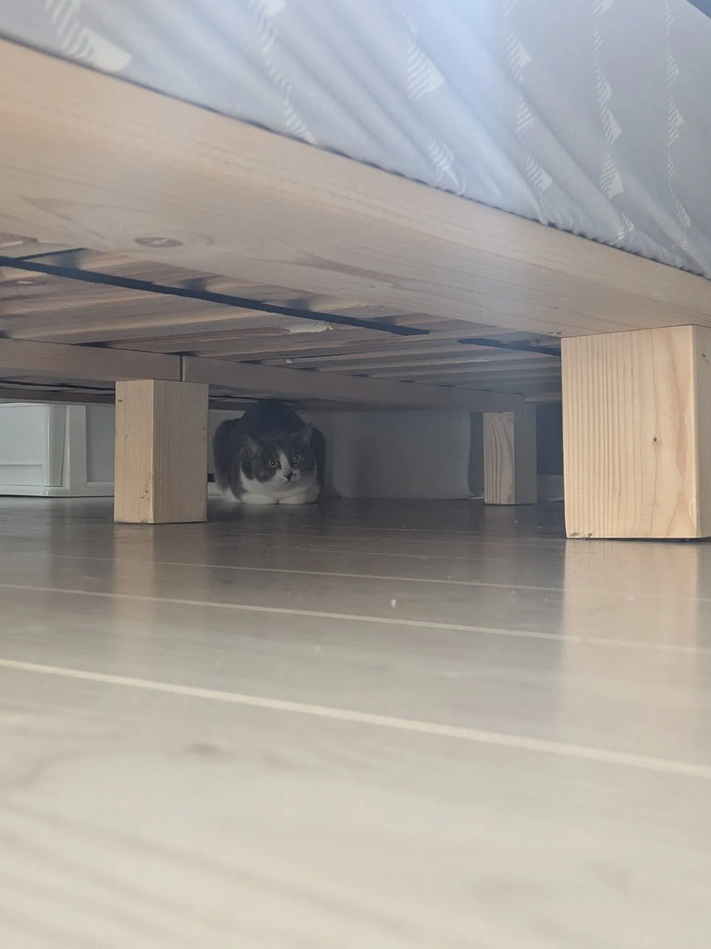 おはようございます！