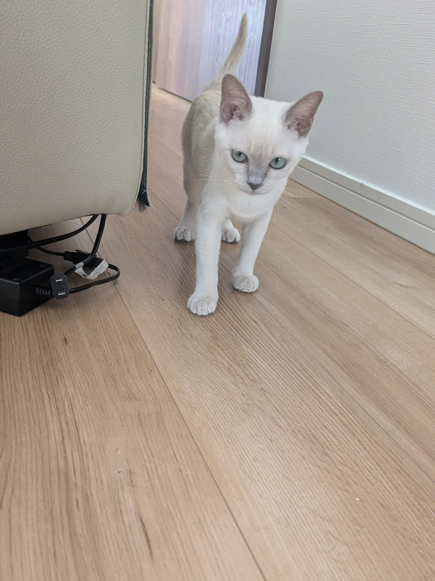 おはようございます！