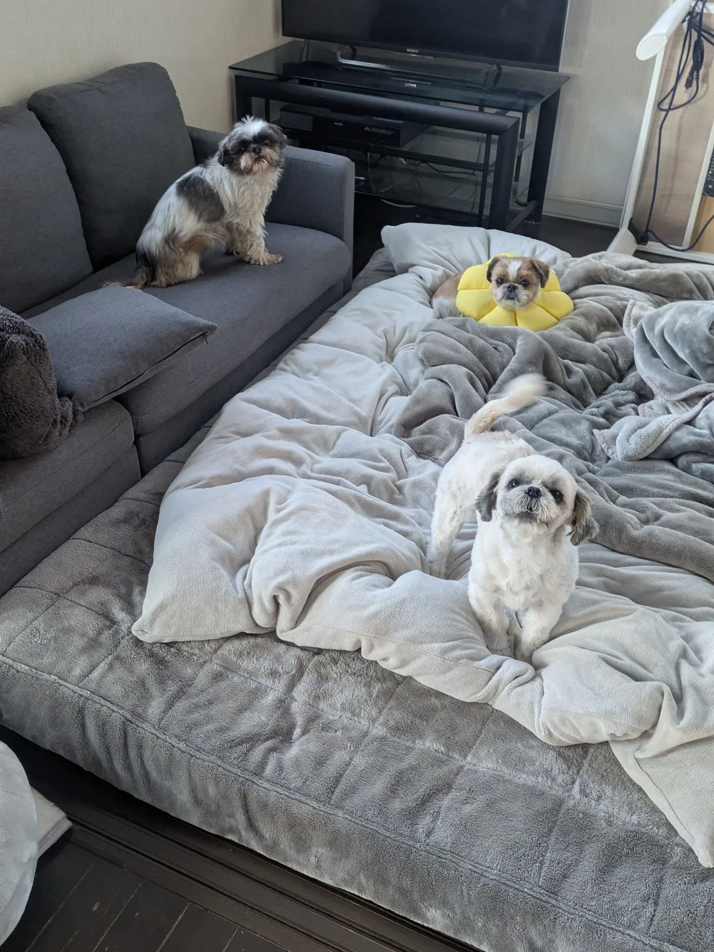 おはようございます！