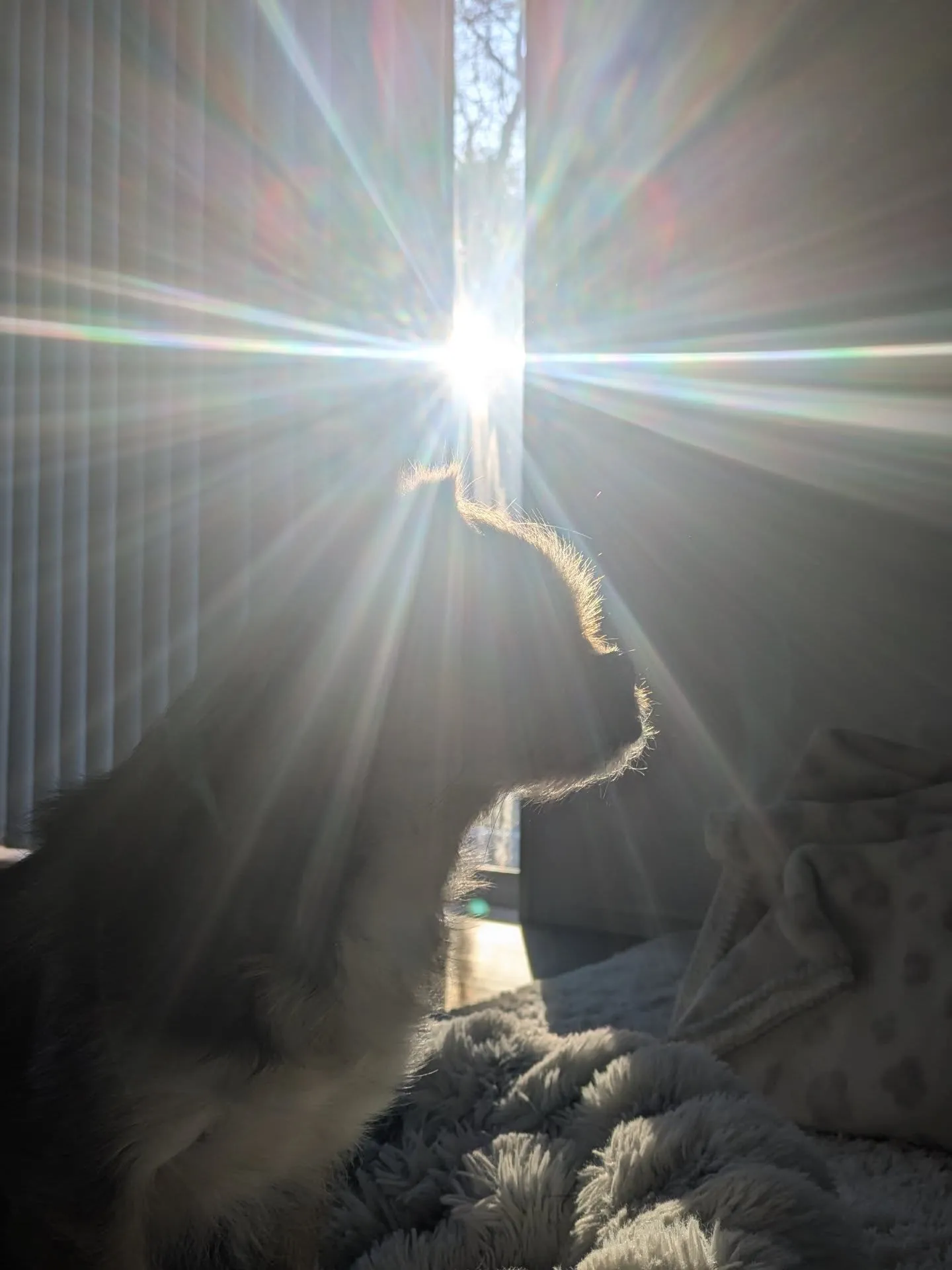 おはようございます！