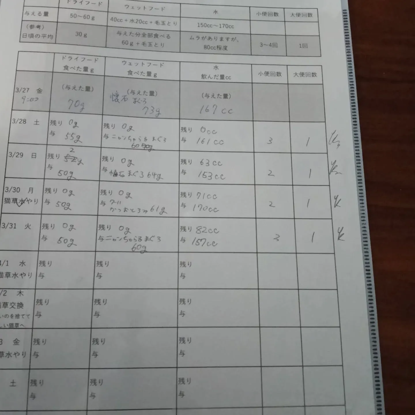 本日のお世話！