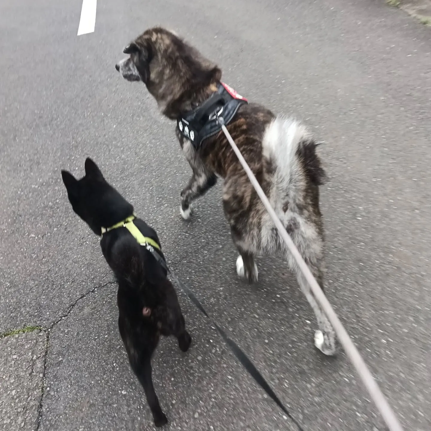 おはようございます！