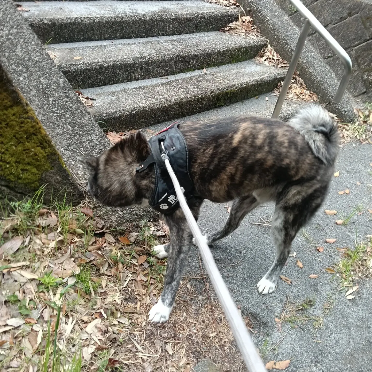 おはようございます！